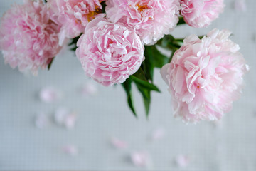 beautiful delicate pink peonies are on the table
