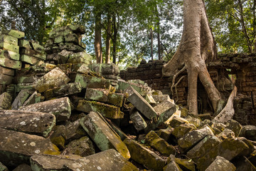 Ta Prohm temple, one of Angkor's best visited monuments. It is known for the huge trees and massive roots growing out of its walls in Siem Reap, Cambodia.