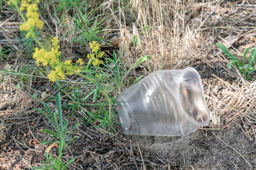 plastic trash lying on the ground in the woods.