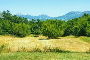 Bosnian countryside landscape on a sunny summer day. Bosnia and Herzegovina, Republika Srpska, Tuli region