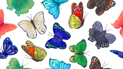 Vector seamless background with colorful butterflies on white background. Illustration for clothing design or printing on fabric and paper.
