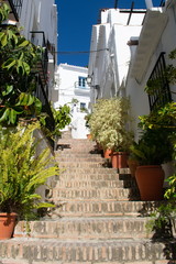 Spain, the pretty village of Frigiliana in Andalusia.  Flowers and plants on a staircase in the heart of the old town