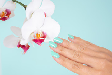 Young woman hand with a turquoise color nails polish and white orchids flower isolated on soft blue background in studio. Manicure and beauty concept. Close up, selective focus
