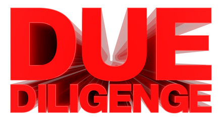 DUE DILIGENGE word on white background 3d rendering