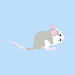 Pet Rat. Decorative rat. Domestic rat. cute Rat. cute Pet