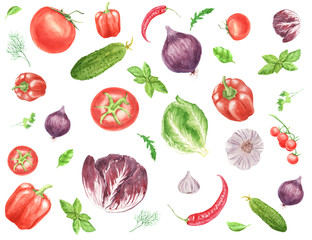 Watercolor background with paprika vegetable, tomato, chilli pepper, onion, basil leaf isolated on white.