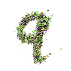 Letter Q english alphabet Herbal tea from dried up