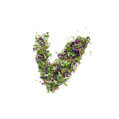Letter V english alphabet Herbal tea from dried up