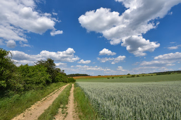 Fototapeta na wymiar Landschaft mit Feldweg in Thüringen