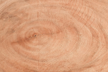 Old wood background. The texture of mahogany. 