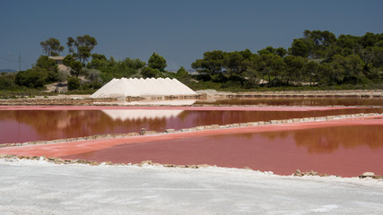 Salz Salinen Colonia Sant Jordi auf Mallorca