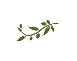 olive logo template vector design