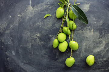 Whole small wild green mangoes on dark background