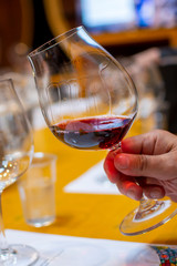 Professional wine tasting, sommelier course, looking at red dry wine in wine glass