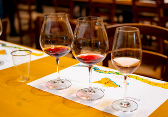 Professional wine tasting, sommelier course, cold rose and red dry wine in wine glasses
