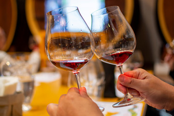 Professional wine tasting, sommelier course, looking at red dry wine in wine glass