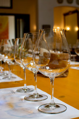 Professional wine tasting, sommelier course, clean empty wine glasses for different wines