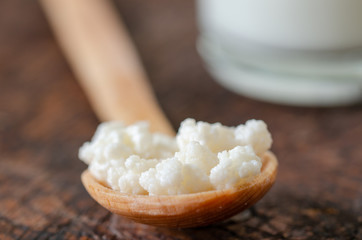 Organic probiotic milk kefir grains.