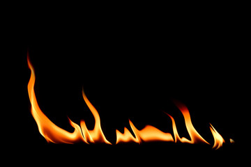 Fire flames on black background. 