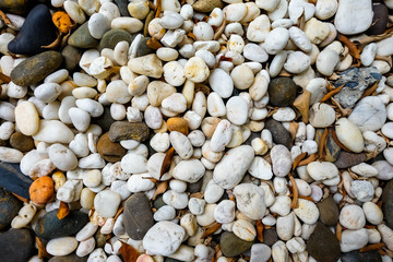 Sea pebbles. Small stones gravel texture background.Pile of pebbles, thailand.Color stone in background. 