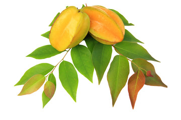 Carambola or star apple ( starfruit ) on isolate white background,Close up healthy carambola or star apple food isolated. 