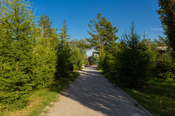 Omsk, Russia - june, 17 2019: Square 60 th anniversary of the Komsomol
