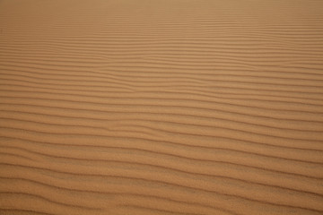 beautiful sand texture of dunes in the Sahara desert