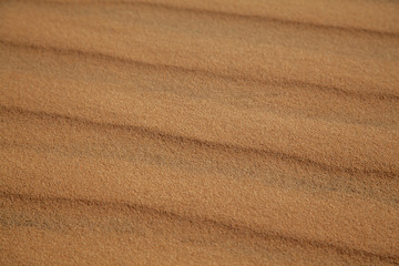 beautiful sand texture of dunes in the Sahara desert