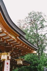 ◉Kyoto Photography◉Landscape of Nagaokakyo