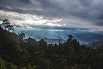 Waning sunlight over the Cundinamarca Valley near Bogot&aacute;, capital city of Colombia. Pine trees and evergreens grows over the mountainside