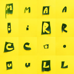 English alphabet letter green tropical leaves each