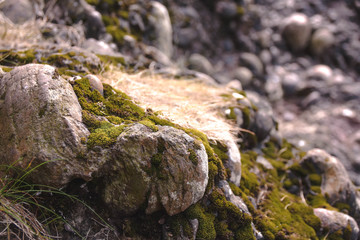 D&eacute;tail roche Ecosse