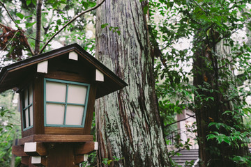 ◉Landscape of Nagaoka Tenmangu◉