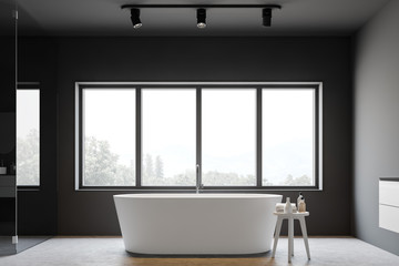 Gray bathroom interior with tub