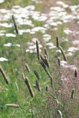 Frogner Park, Vigeland sculpture park, Oslo