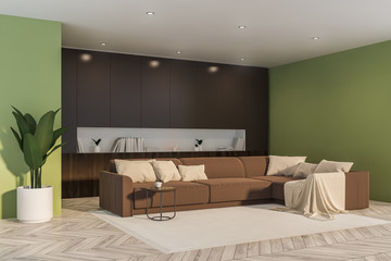 Green living room corner, brown sofa