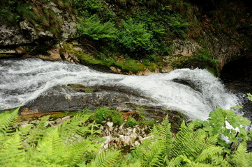 Wasserfälle Allerheiligen im Schwarzwald