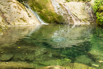 Naklejka na ściany i meble splash of water in a small italian lake among a dense lush vegetation