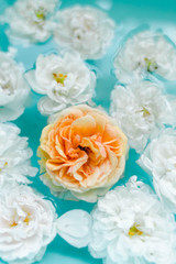 Beautiful floral texture of roses in water on blue background