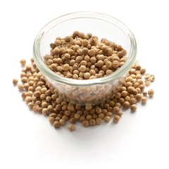 cilantro dried isolatedin a glass plate