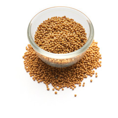 mustard dried isolated   in a glass plate