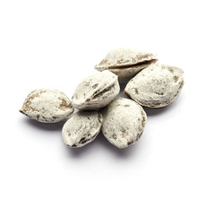 salted pistachio whole nuts in the peel