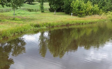 Fototapeta na wymiar Reflections on a Pond