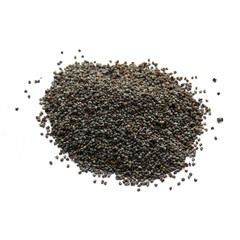 poppy seeds isolated