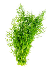 Bunch of fresh green dill isolated on white background.