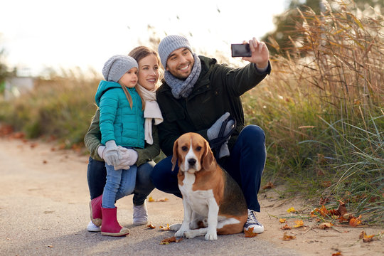 family, pets and people concept - happy mother, father and little daughter with beagle dog taking selfie by smartphone outdoors in autumn