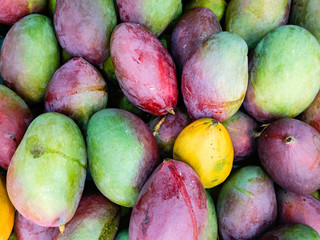 fresh raw sweet mango heap as background on market.