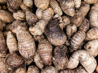 Fresh clean yam on the market .