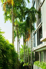 Apartment block in luxury style and tall palm trees
