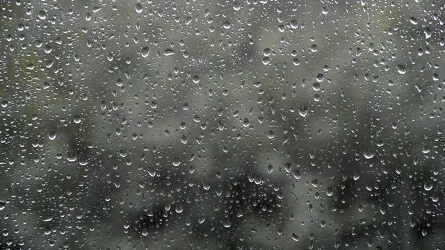 strong rain water drops fall and hit on glass window surface, windy weather and green trees blurred background, cold autumn evening, selective focus of closeup full hd stock video footage in real time